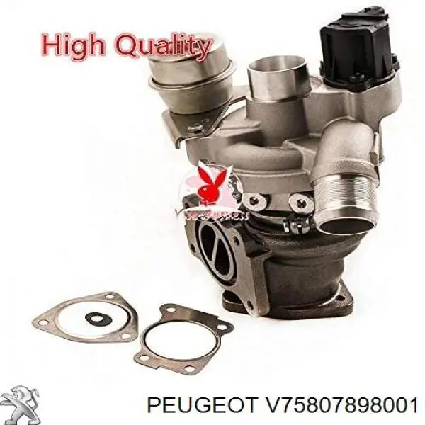 Turbina Peugeot/Citroen V75807898001 cena, od 387,27 USD