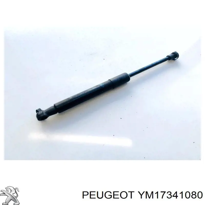 YM17341080 Peugeot/Citroen Amortyzator maski