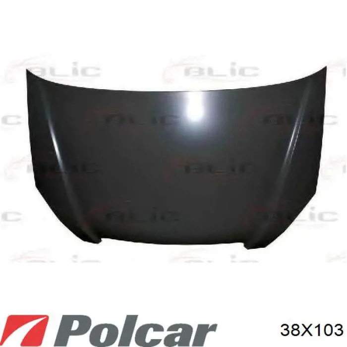 60100SWAA91ZZ Honda Maska silnika