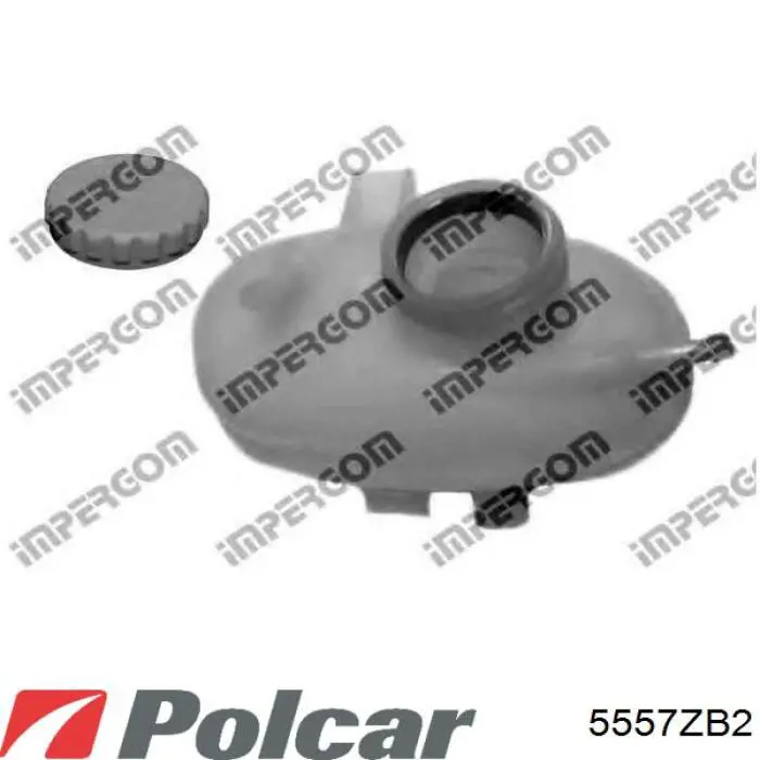 Zbiorniczek wyrównawczy układu chłodzenia 09129170 General Motors