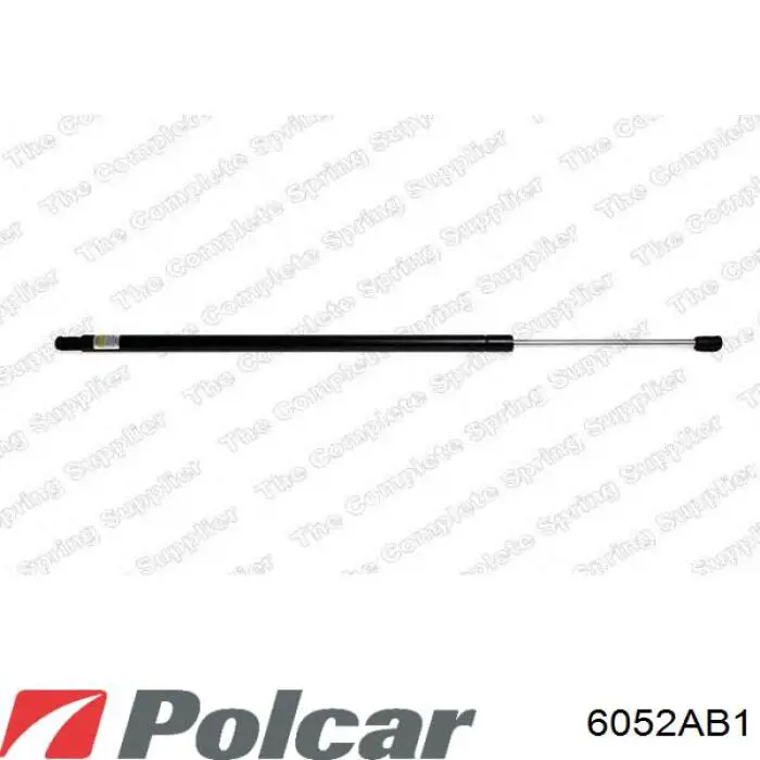 Amortyzator klapy bagażnika (3/5 drzwi-tylnych) Renault (RVI) 8200021975 cena, od 19,75 USD