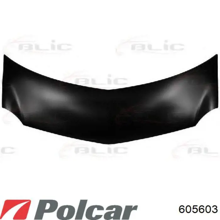 Maska silnika Renault Modus minivan (JP0) (2004 - 2012) cena, od 235,49 USD