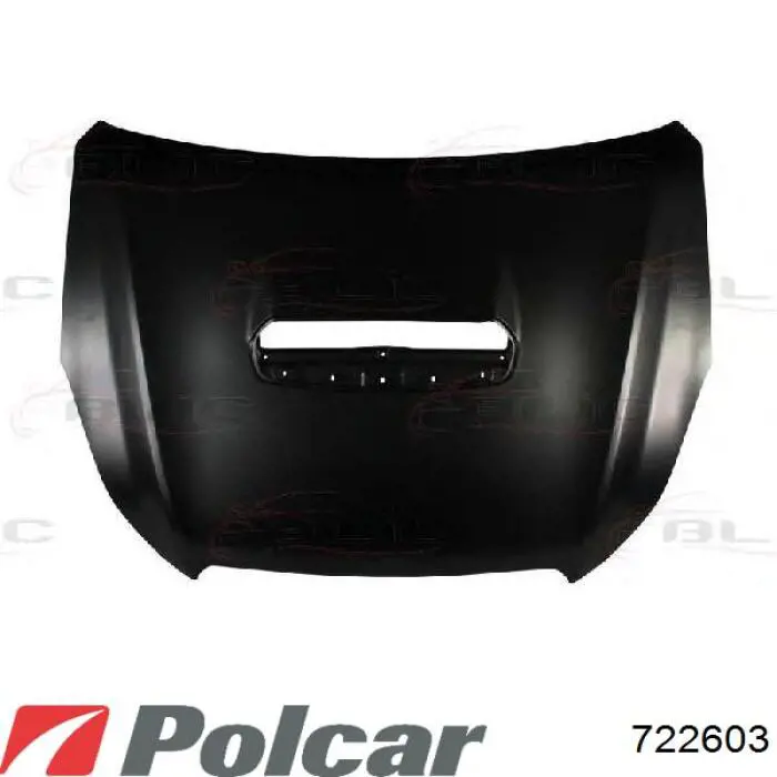 Do koszyka Maska silnika Subaru Outback III B13, BP