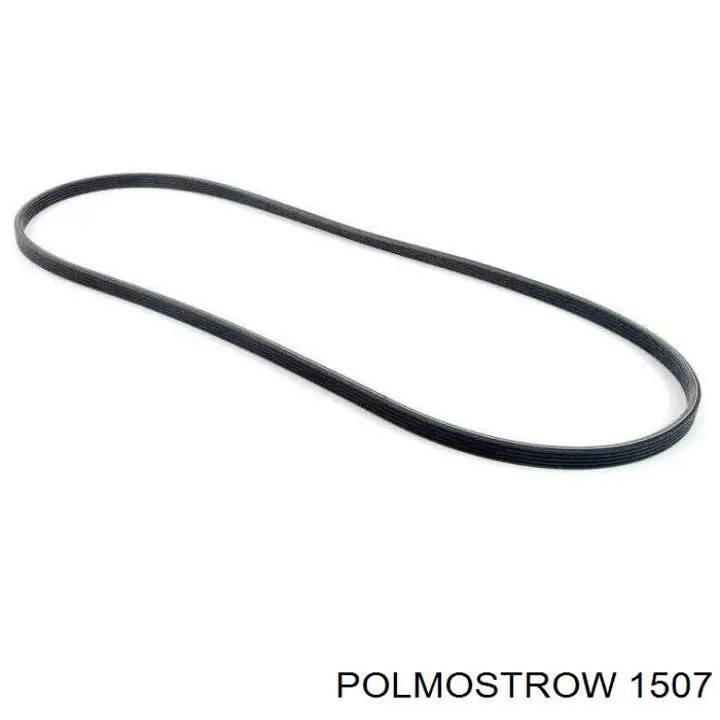 1507 Polmostrow Tłumik, tylna część