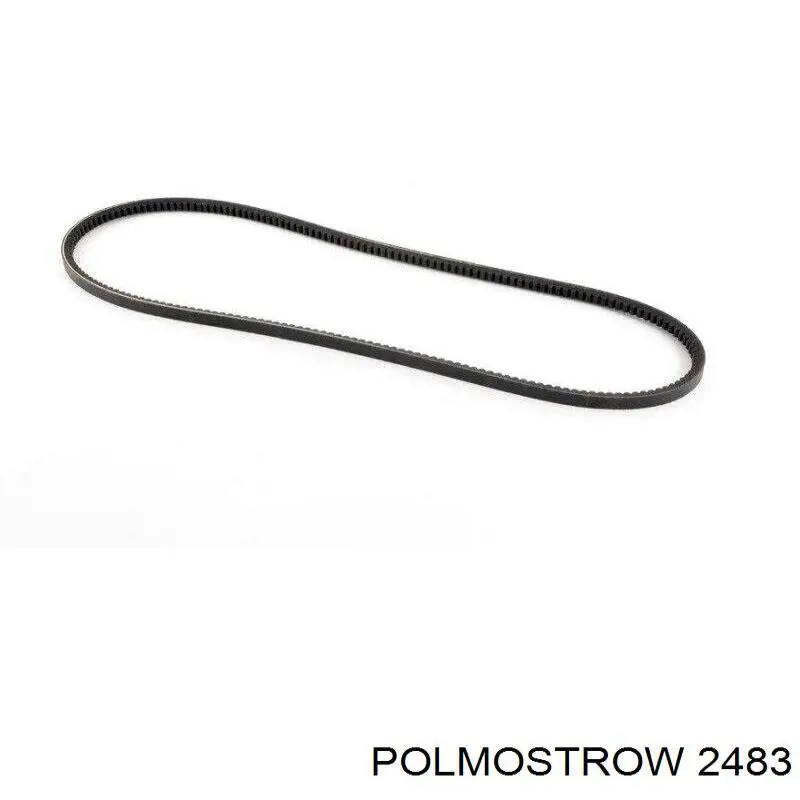2483 Polmostrow Tłumik, tylna część
