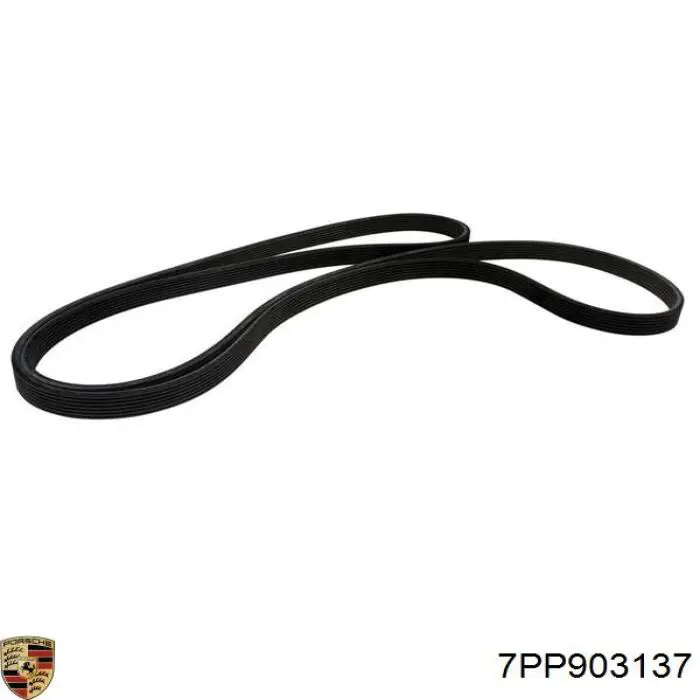 7PP903137 Porsche Pas napędowy mechanizmów