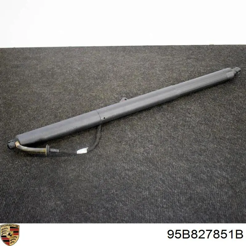 Amortyzator klapy bagażnika (3/5 drzwi-tylnych) Porsche 95B827851B cena, od 116,61 USD