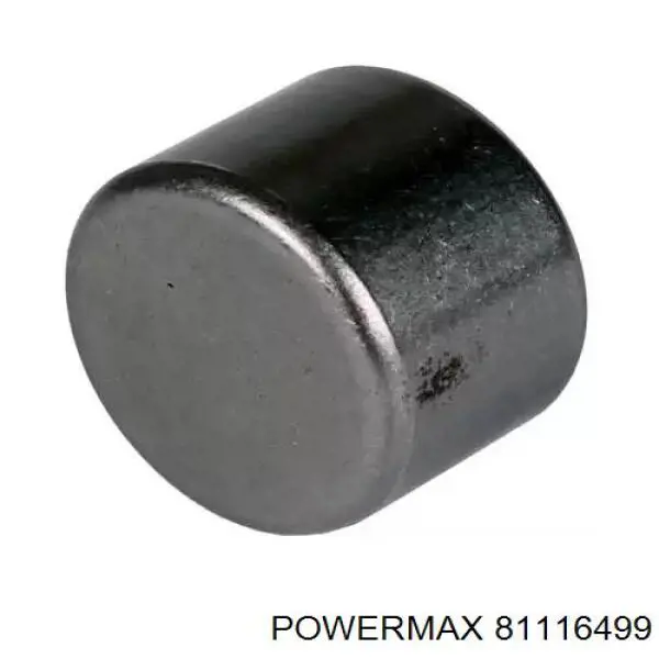 81116499 Power MAX łożysko alternatora