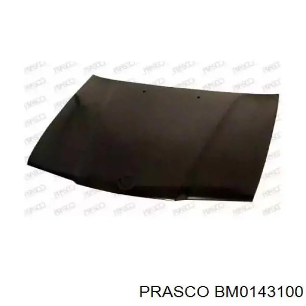 Maska silnika Prasco BM0143100 cena, od 288,58 USD