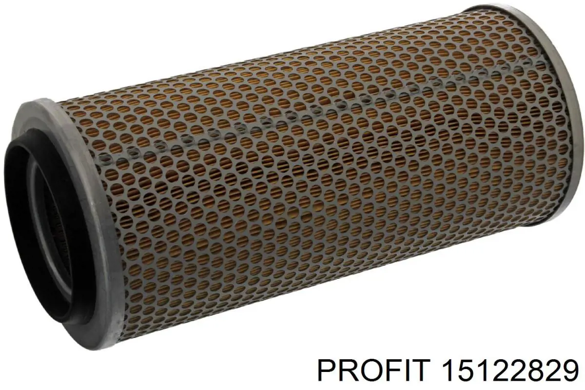 15122829 Profit Filtr powietrza