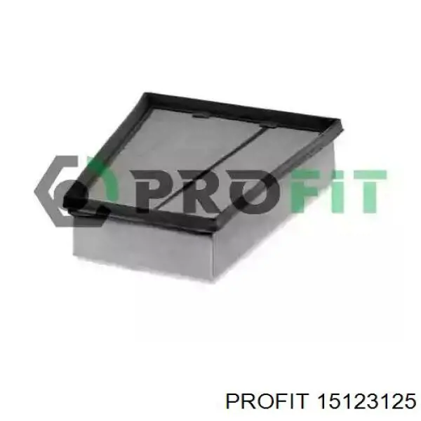 Filtr powietrza Profit 15123125 cena, od 8,76 USD