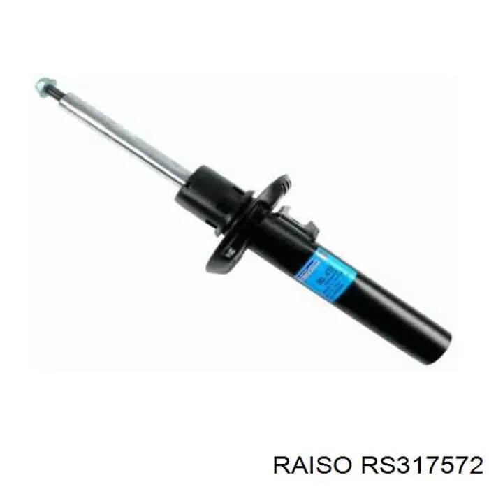 RS317572 Raiso Amortyzator przedni