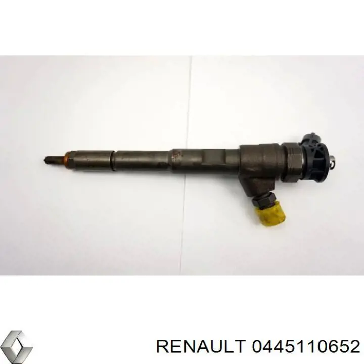 Wtryskiwacz paliwa Renault (RVI) 166002367R cena, od 100,45 USD
