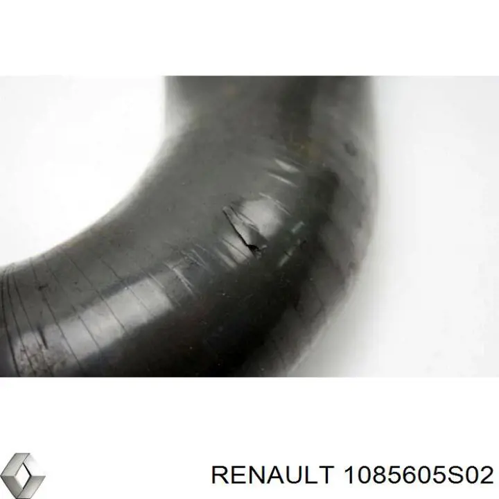  1085605S02 Renault (RVI)