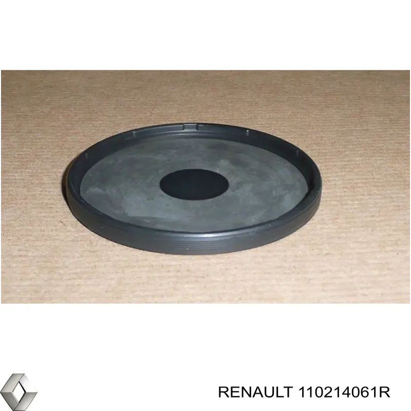 Do koszyka 1102100Q0D Renault (RVI) Zaślepka głowicy cylindrów/bloku cylindrów