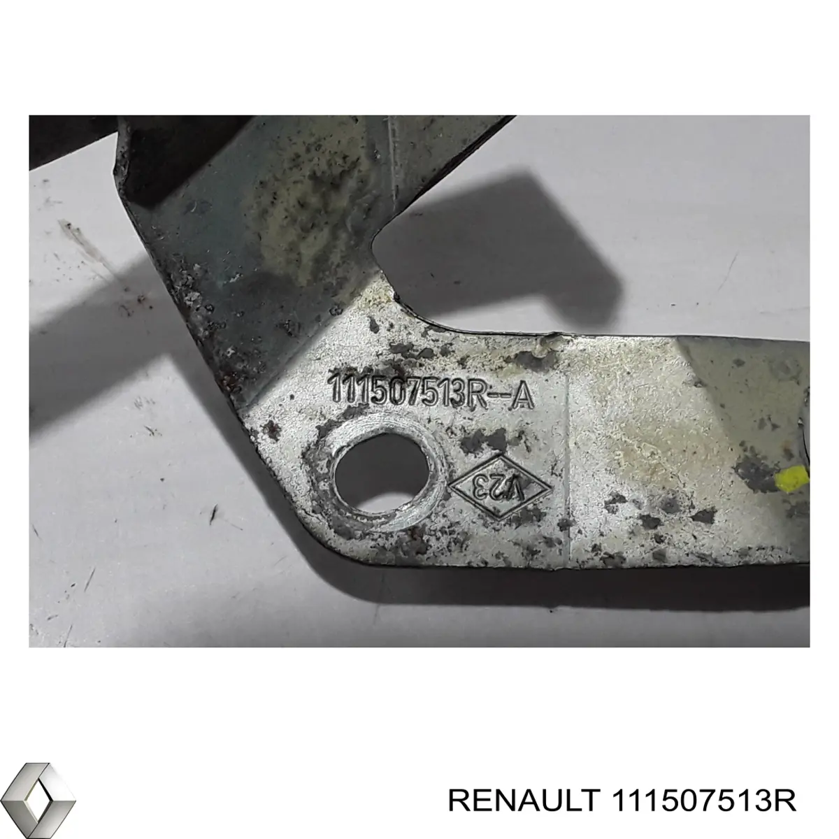 Do koszyka 111507513R Renault (RVI) Bagnet poziomu oleju w silniku
