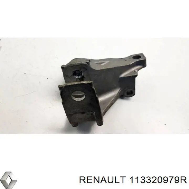  Renault (RVI) 113320979R cena, od 55,15 USD