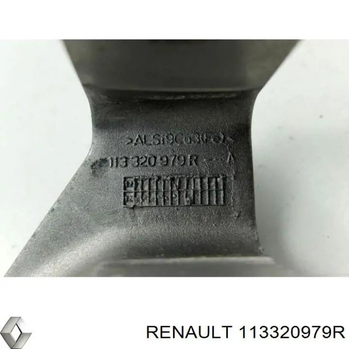 Do koszyka 113320979R Renault (RVI) 