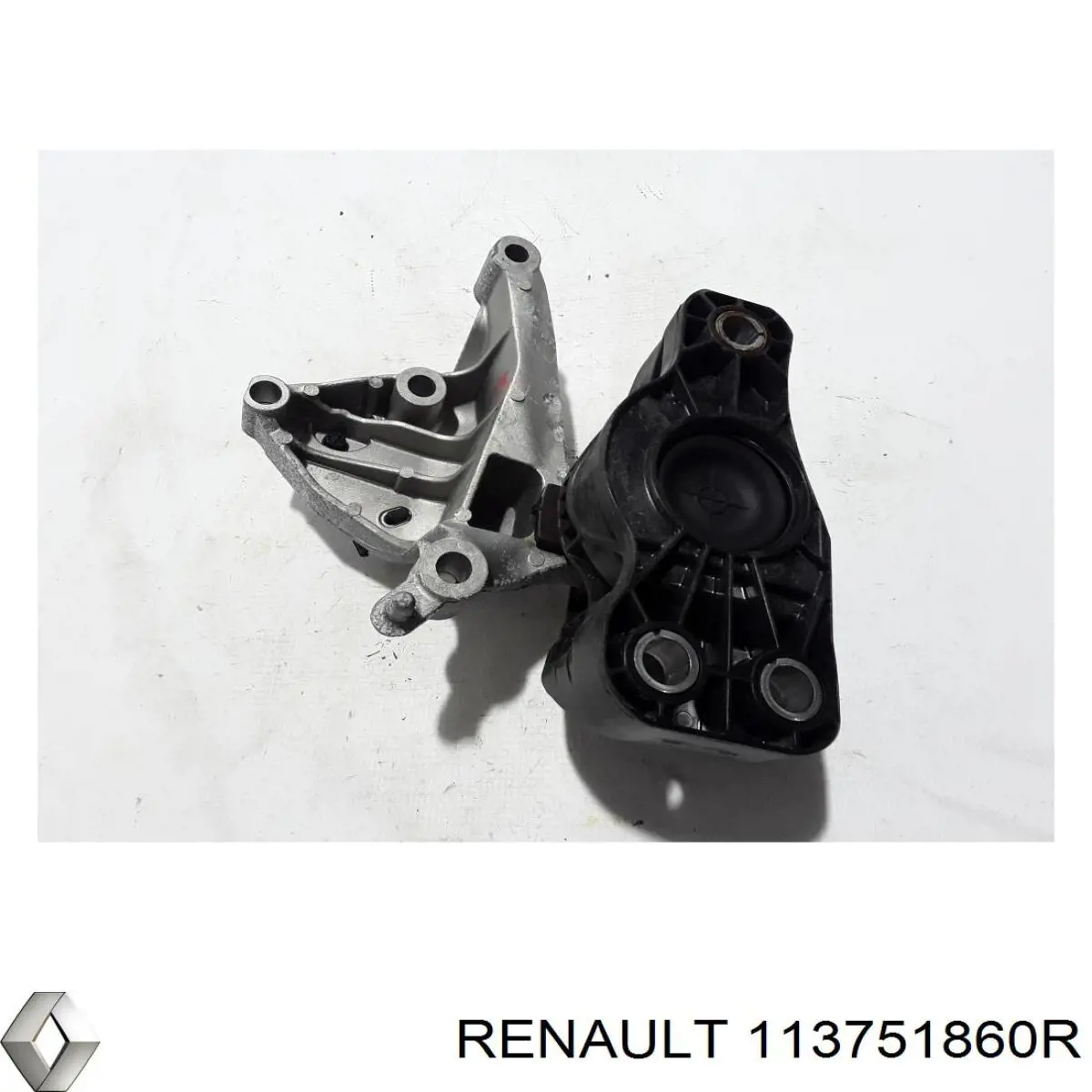  Renault (RVI) 113751860R cena, od 85,13 USD