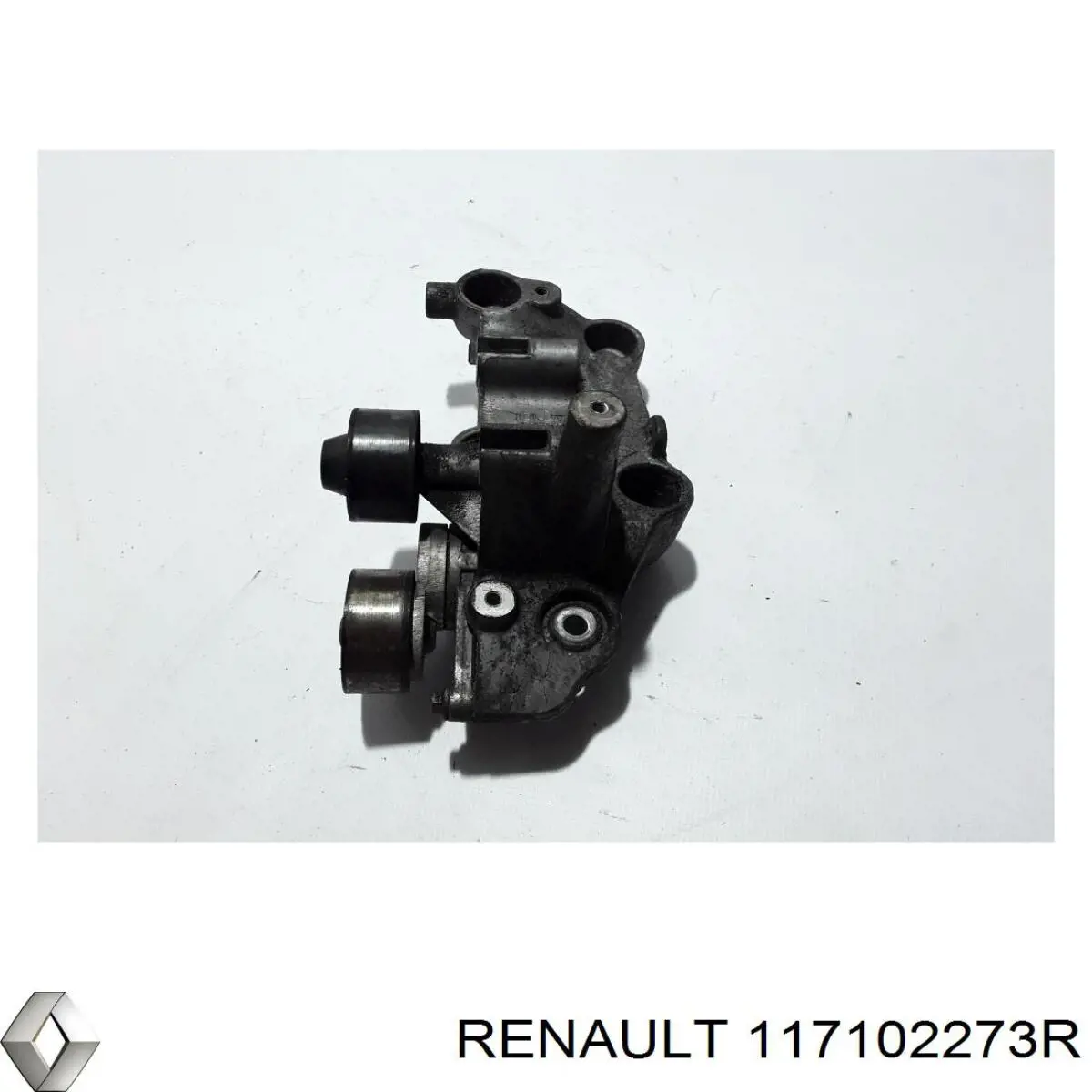  Renault (RVI) 117102273R cena, od 135,04 USD