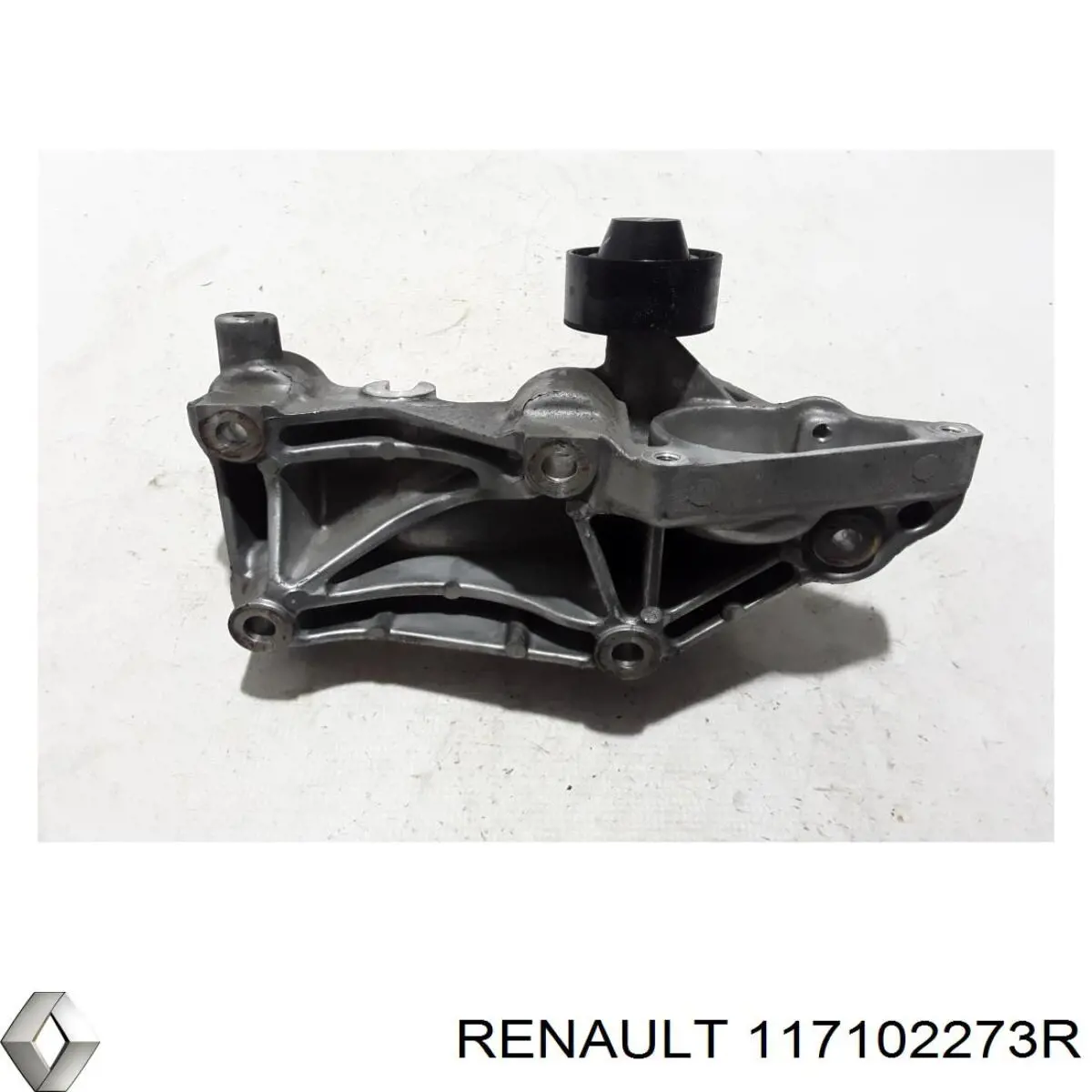 Do koszyka 117102273R Renault (RVI) 