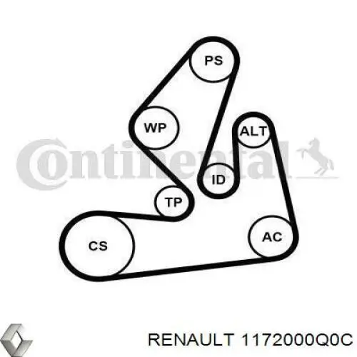 Pasek napędowy mechanizmów, zestaw Renault (RVI) 1172000Q0C cena, od 130,01 USD