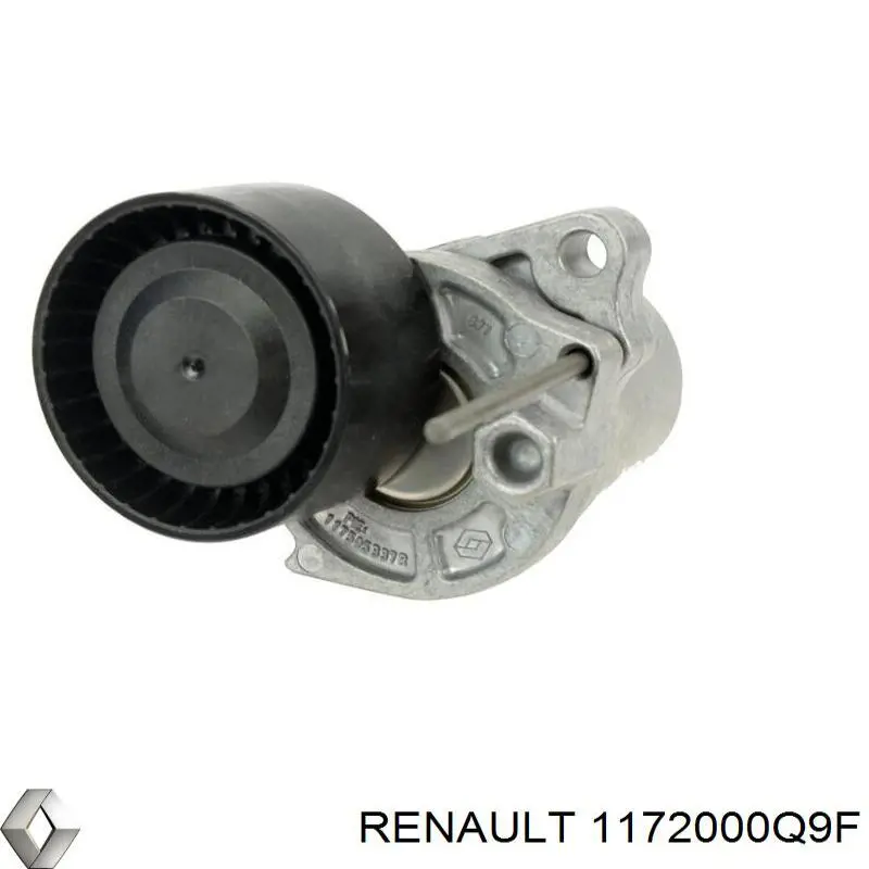 Do koszyka 1172000Q9F Renault (RVI) Napinacz paska napędowego