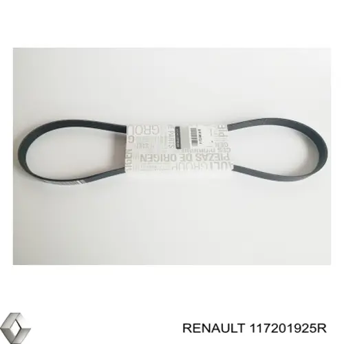 Do koszyka 117201925R Renault (RVI) Pasek napędowy mechanizmów, zestaw