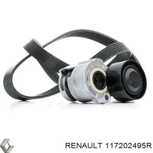 117202495R Renault (RVI) Pasek napędowy mechanizmów, zestaw