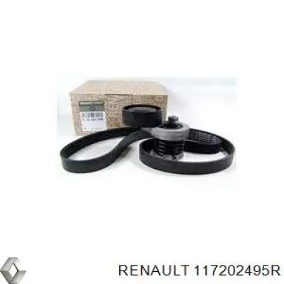 Do koszyka 117202495R Renault (RVI) Pasek napędowy mechanizmów, zestaw