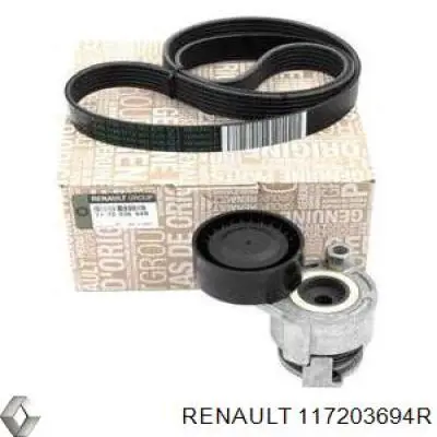 Do koszyka 117203694R Renault (RVI) Pasek napędowy mechanizmów, zestaw