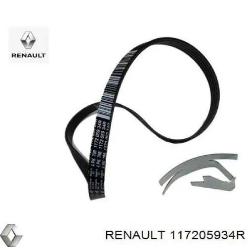 117205934R Renault (RVI) Pas napędowy mechanizmów