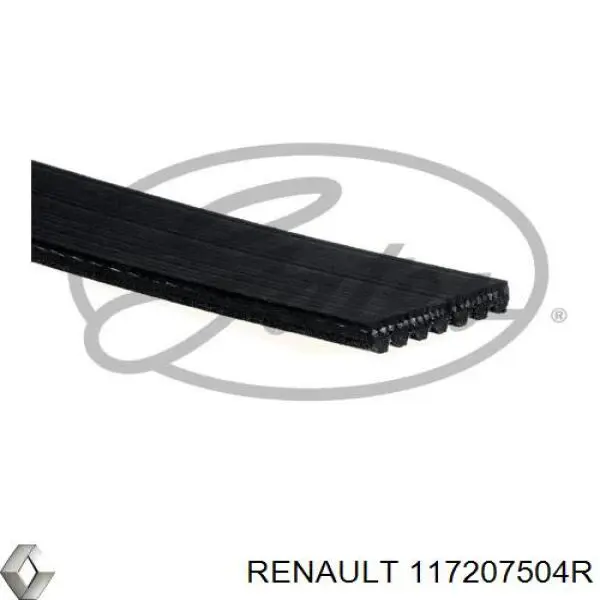 Do koszyka 117207504R Renault (RVI) Pas napędowy mechanizmów