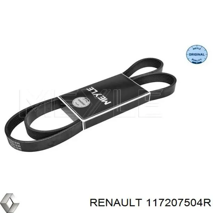 Do koszyka 117207504R Renault (RVI) Pas napędowy mechanizmów