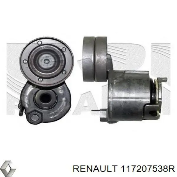 Do koszyka 117207538R Renault (RVI) Pasek napędowy mechanizmów, zestaw