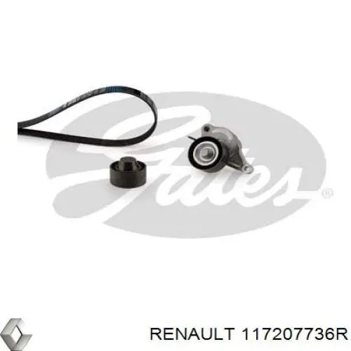 117207736R Renault (RVI) Pasek napędowy mechanizmów, zestaw