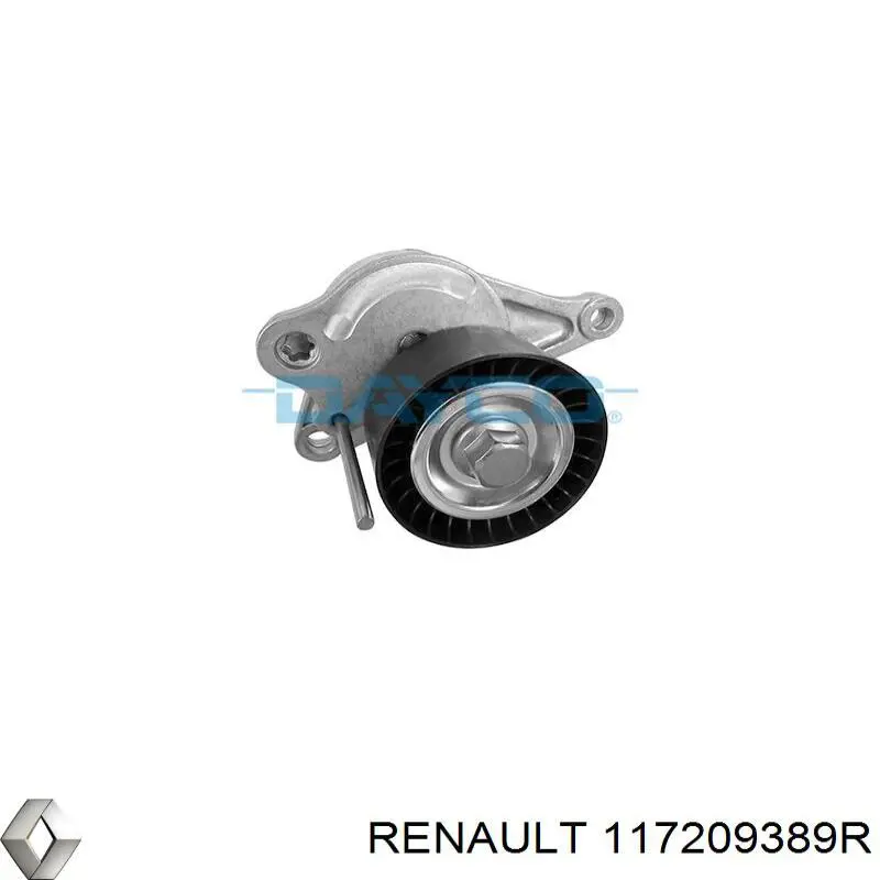 Do koszyka 117209389R Renault (RVI) Pasek napędowy mechanizmów, zestaw
