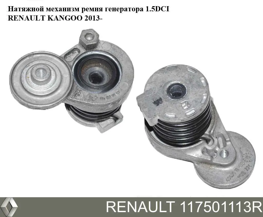 117501113R Renault (RVI) napinacz paska napędowego