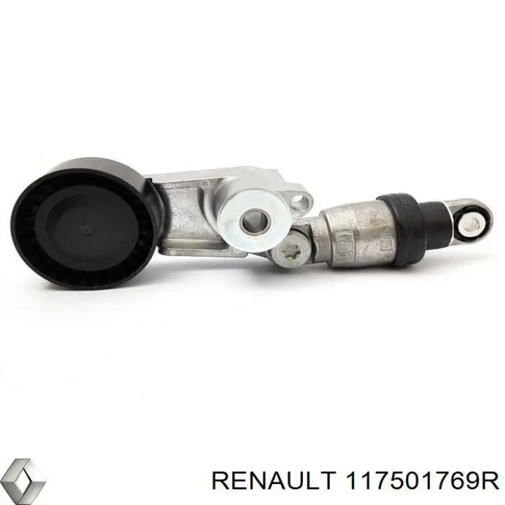  117501769R Renault (RVI)
