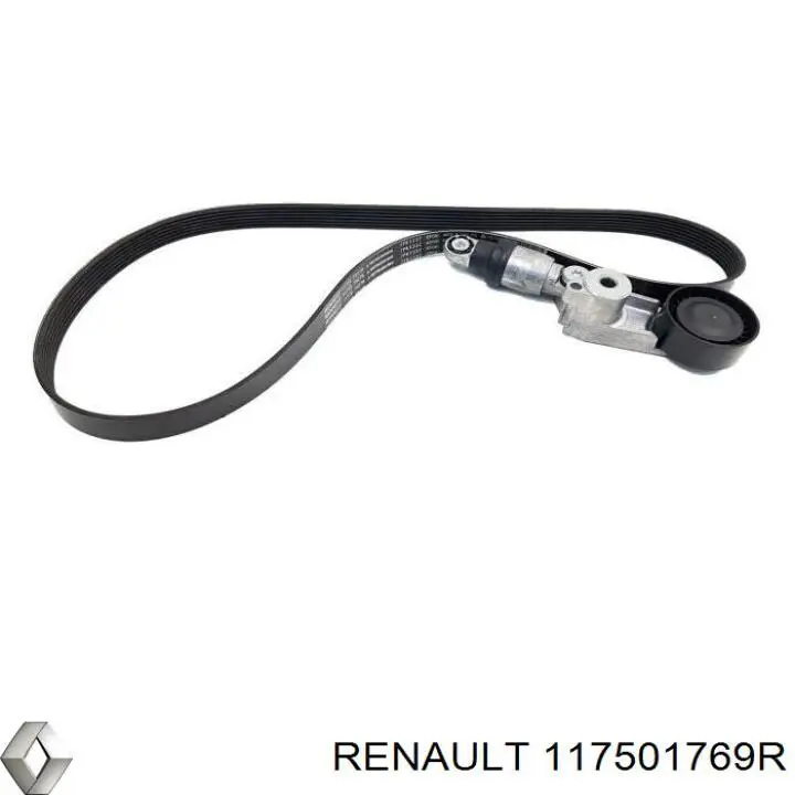 Do koszyka 117501769R Renault (RVI) 