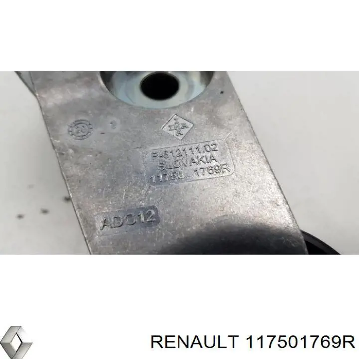 117501769R Renault (RVI) 