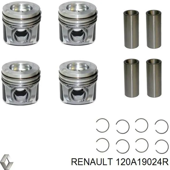 120A19024R Renault (RVI) Tłok, komplet do jednego cylindru, STD