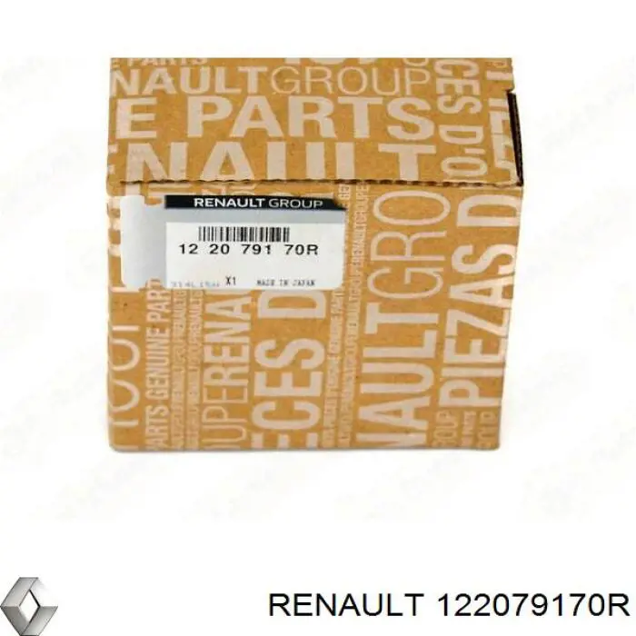 122079170R Renault (RVI) Panewki korbowodowe wału korbowego, zestaw, standardowe (STD)