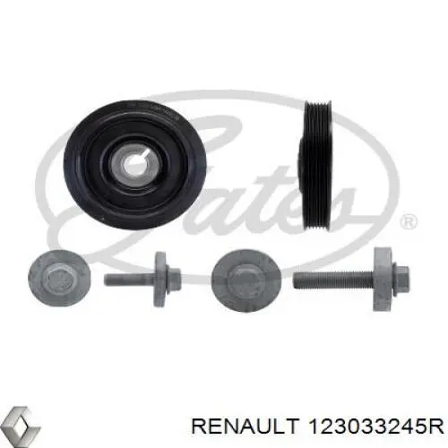Koło pasowe wału korbowego Renault (RVI) 123033245R