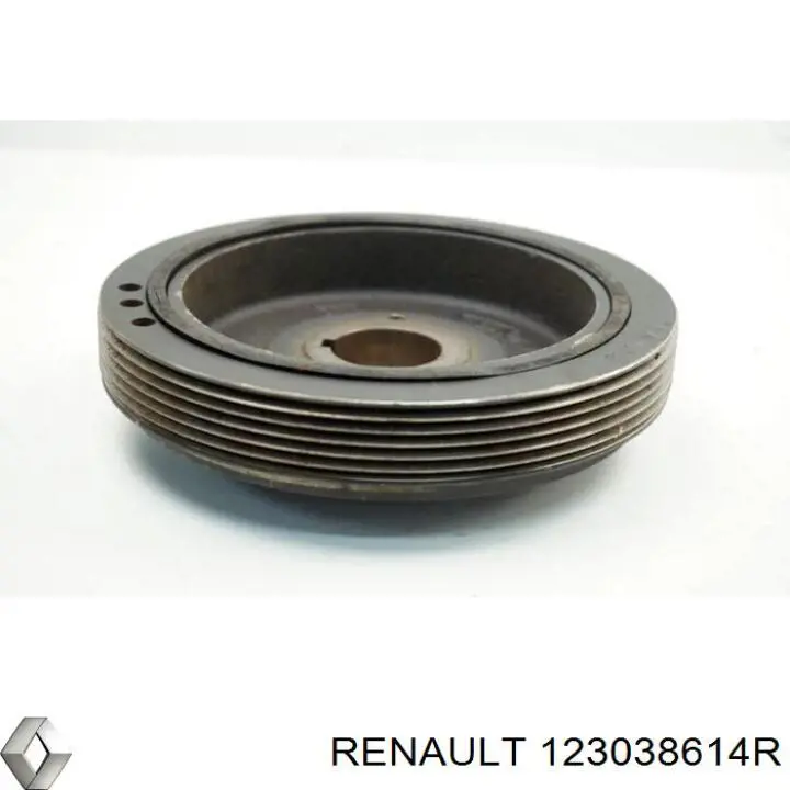 123038614R Renault (RVI) Koło pasowe wału korbowego
