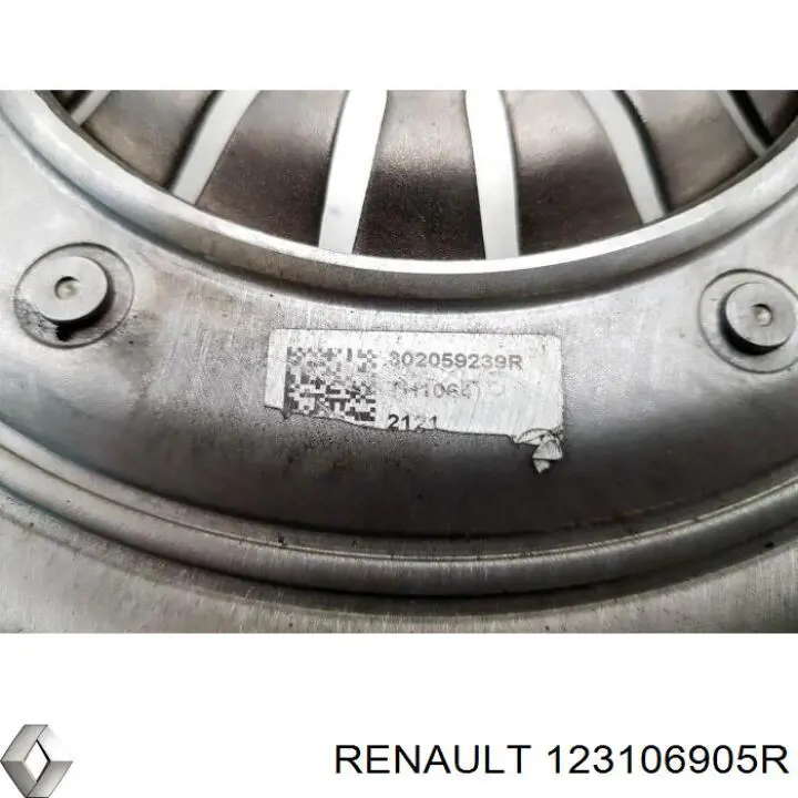  Renault (RVI) 123106905R cena, od 442,67 USD