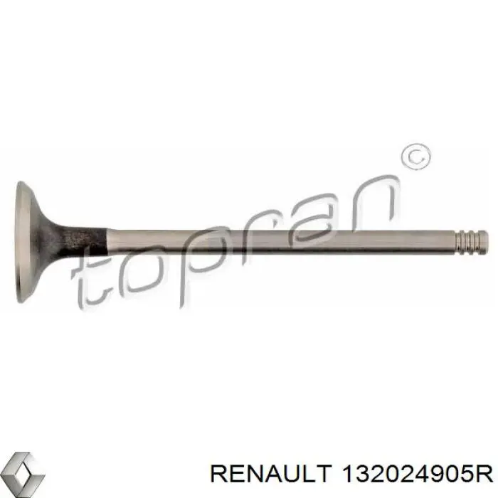 132024905R Renault (RVI) Zawór wydechowy