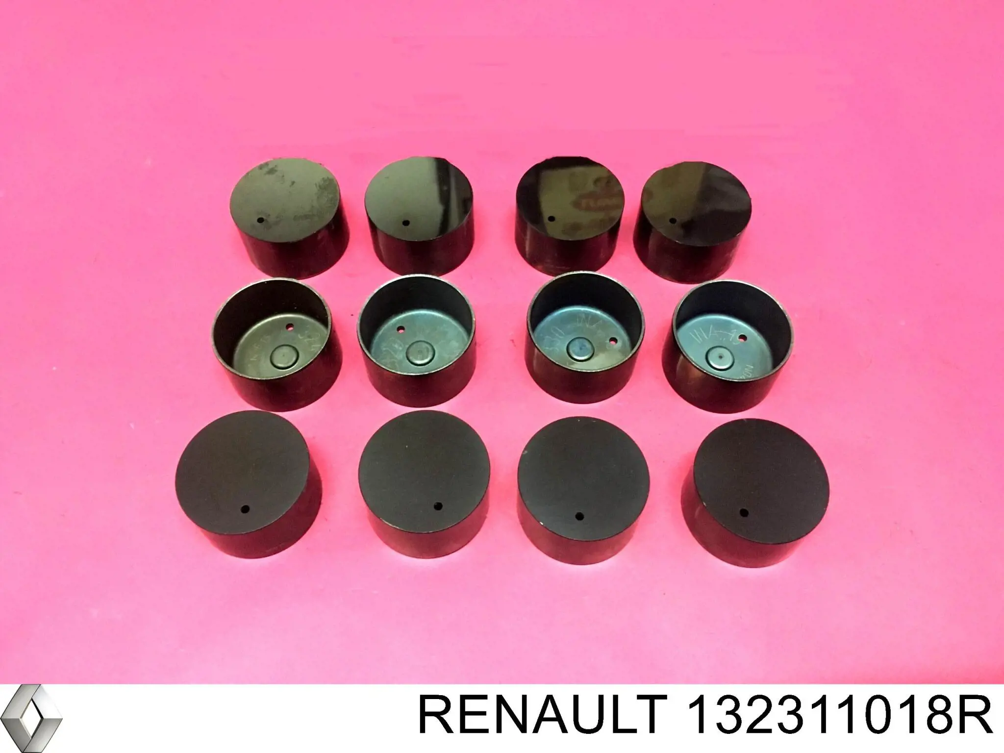 Kompensator hydrauliczny (popychacz hydrauliczny), popychacz zaworu Renault (RVI) 132311018R cena, od 19,43 USD