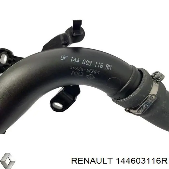 Do koszyka 144603116R Renault (RVI) Przewód (króciec) intercoolera