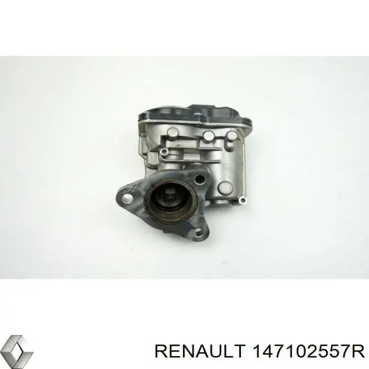 Zawór obejściowy (by-pass) ERG recyrkulacji spalin Renault (RVI) 147102557R cena, od 83,43 USD